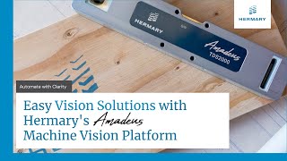 Celebrity Easy Vision Solutions with Hermary's Amadeus Machine Vision Platform Net Worth