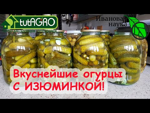САМЫЕ ВКУСНЫЕ ОГУРЦЫ НА ЗИМУ без стерилизации. На сырой воде и с особым стартом! Лучше бочковых!