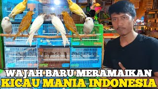 NEW FACE ‼️ LIVENING UP INDONESIAN CHIRPING MANIA, GUARANTEED CHEAP PRICES