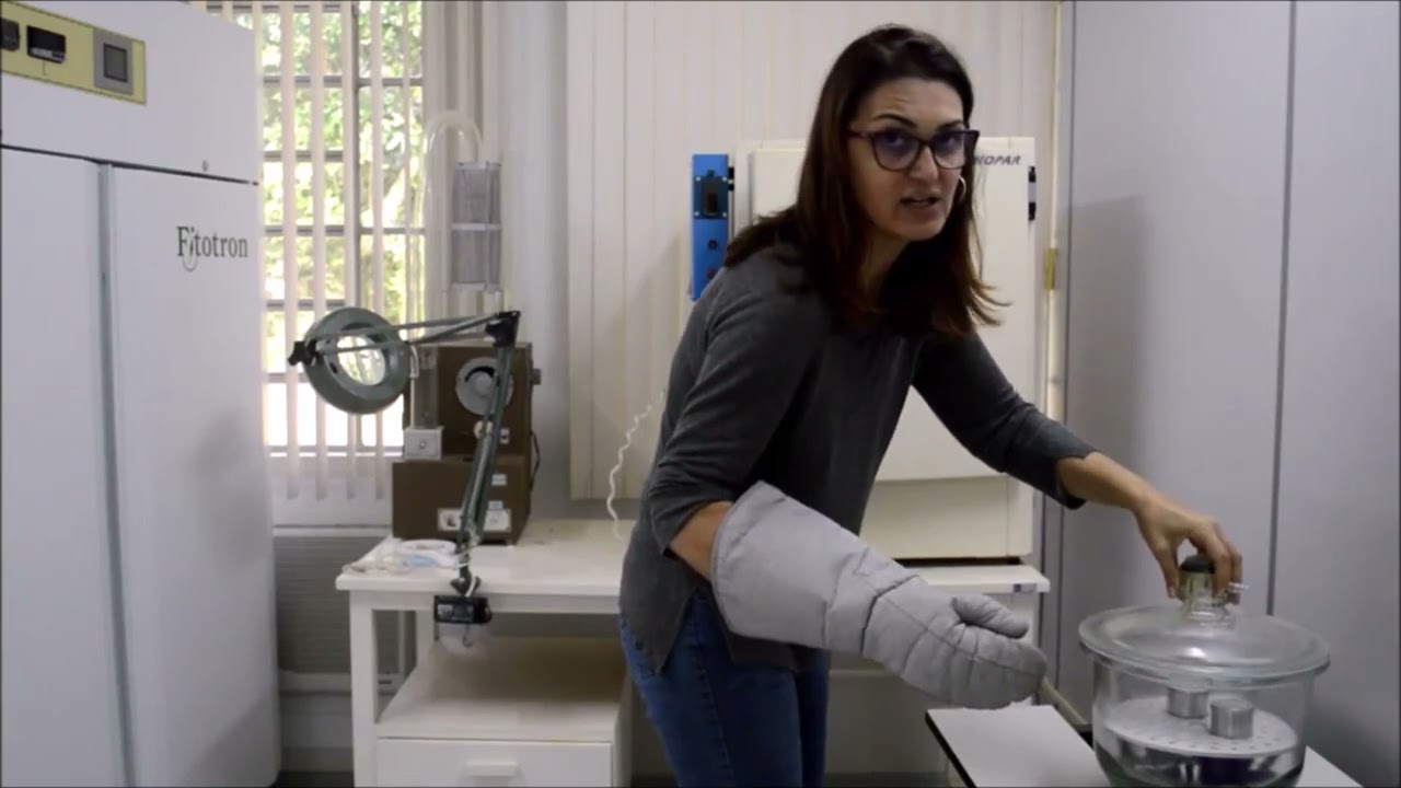 Análise de Sementes Parte V - Teste de umidade