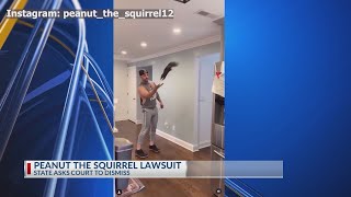 Peanut the Squirrel case; State of NY seeks lawsuit dismissal
