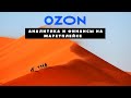 Как смотреть отчеты на маркетплейсе Ozon? | Финансы и аналитика Ozon | Метрики и конверсия