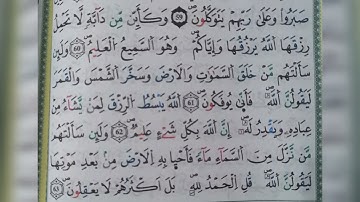 سورة العنكبوت الآية من ٦١ الى ٦٣ (61~63)