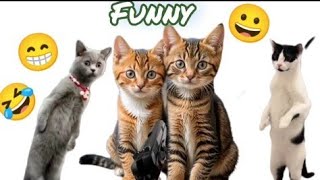 best killer funny 2024 cat and dog video