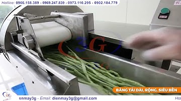 Máy Thái Rau Củ D80: Băng Tải Có Biến Tần Cắt Khúc Từ 1mm - 30mm| Điện Máy 3G