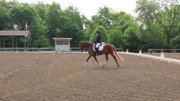 USDF Training Level Test 3 2019