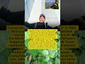 Macaulay Culkin captured unforgettable scenes from the World Trade Center observation deck #english