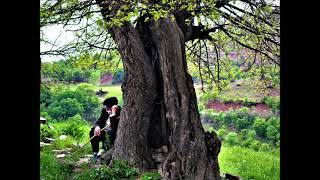 #Dersim#Munzur                               Kılamê Zonê Ma Resimi