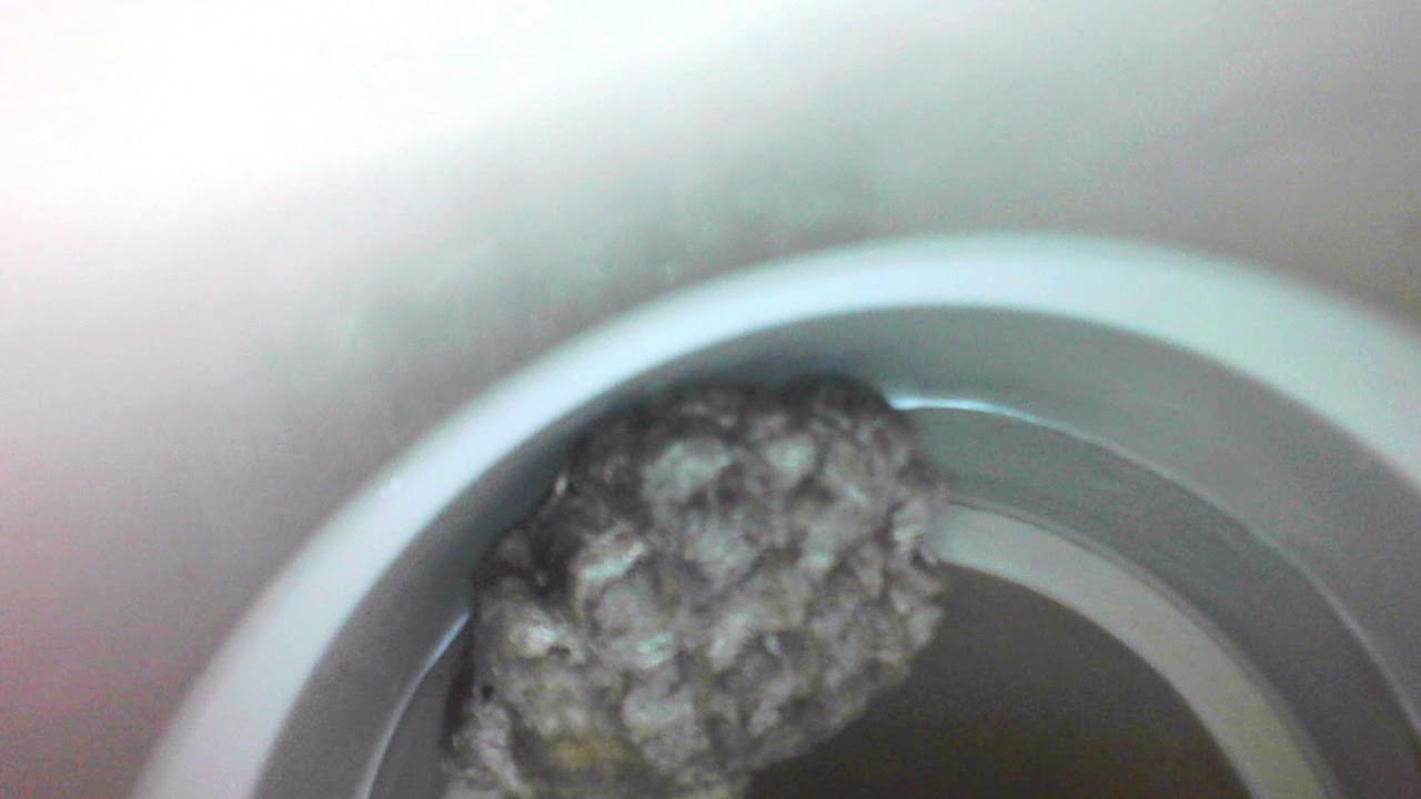 How To Remove Bees From Bathroom Vent