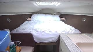 Chris-Craft scorpion 264 AFT CABIN. - Boatshed - Boat Ref#314244