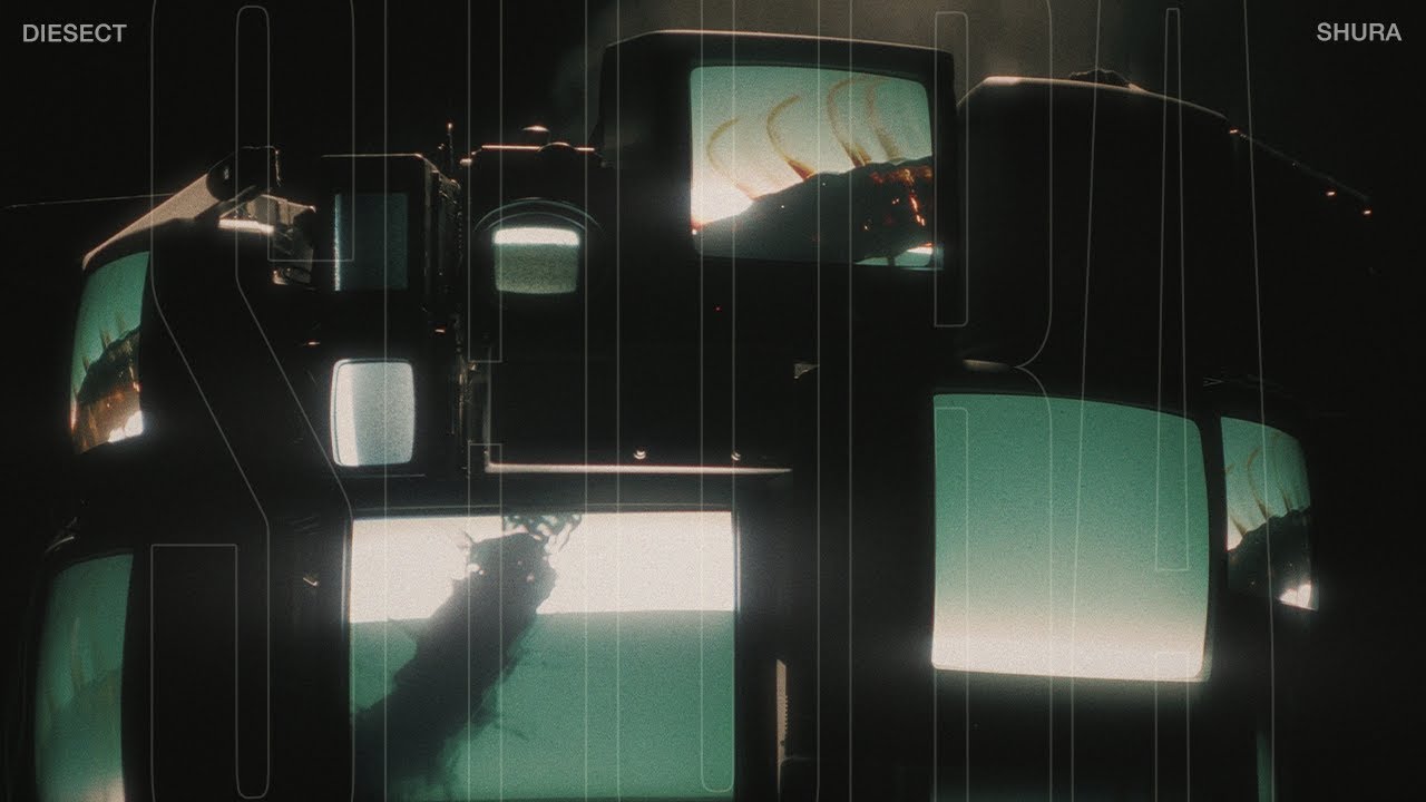 Watch DIESECT - SHURA (Official Music Video) on YouTube