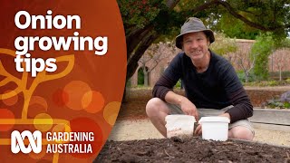 The best technique for cultivating onions | Gardening 101 | Gardening Australia