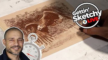 How to Draw a Hawk - Gettin