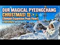 Phoenix Pyeongchang S.Korea Winter Wonderland! MontBlanc Peak &amp; Snow Village Magic!