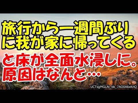 旅行から一週間ぶりに我が家に帰ってくると床が全面水浸しに。原因はなんと… 【スカッとまとめ速報チャンネル】