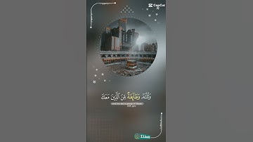 قران كريم راحه نفسيه #اكسبلور #دويتو #التغطيه #المصحف #راحة_نفسية #حالات_واتس #لايك #قران_كريم