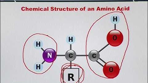 Topic 153 (BIF401 - Bioinformatics I)