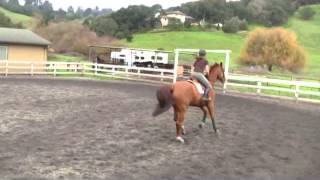 Brennah & Carlos On Christmas Eve