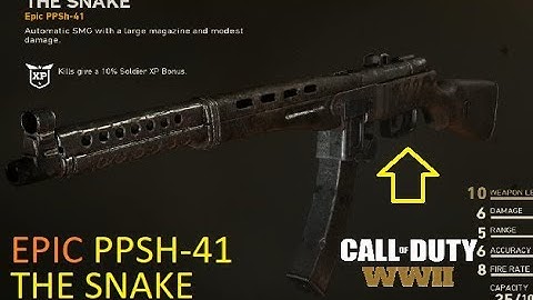 THE SNAKE - EPIC PPSH-41 VARIANT (Call of Duty WWII)