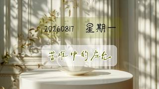 260817