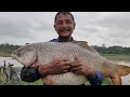 20 kg Amazing Rohu Fish/Monster Rohu/Very Big Rohu Fish/Fishing Man