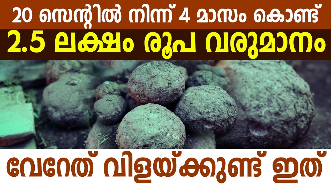 ഒന്ന് പരീക്ഷിക്കുന്നോ? ഭാ​ഗ്യമുണ്ടേ ലക്ഷങ്ങൾ കൈയ്യിൽ