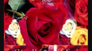 Abdurrahman Önül - Medine Gülü (Yeni - 2009) - Www.abdurrahman - Onul - Ilahileri.com