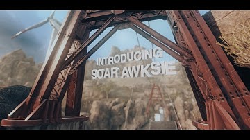 SoaR Awksie