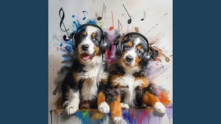 Puppy Play Harmonics