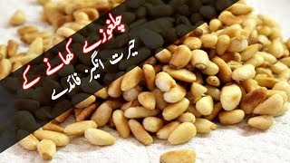 Benefits of pine nut | Amazing health benefits of Pine Nuts  Chilgoza