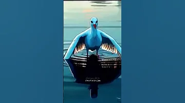 حسين الاميري ادورك وين حالات واتساب 