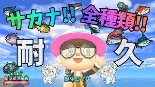 しんちゃんねる‼の配信のサムネイル画像