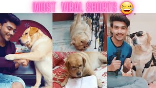 most viral shorts🔥 | comedy🤣 | best dog videos ever🐕 | Anant rastogi