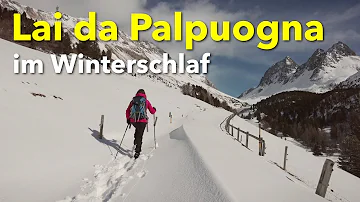 Lai da Palpuogna (Snowshoe Tour #528 in Bergün) 🇨🇭 GRISONS | SWITZERLAND