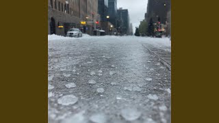 Calgary's Hail