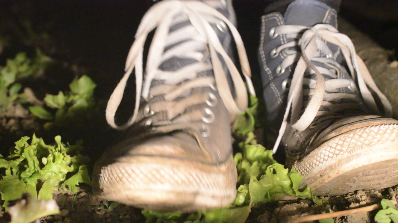 converse things that grow