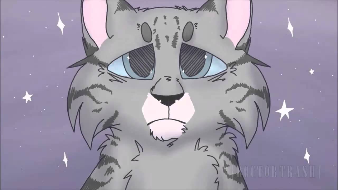 The Moon Song- Warrior Cats MAP - YouTube.