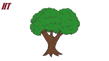 How to Draw an Oak Tree easy