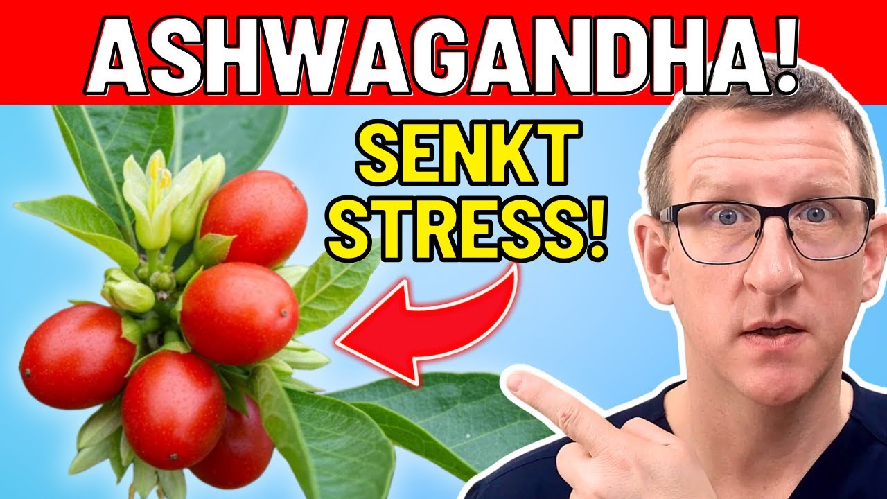 Ashwagandha - die beste Heilpflanze gegen Stress!