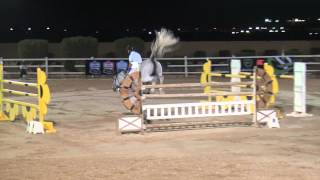 -63- الفارس : مشاري الحربي AL-EID EQUESTRIAN