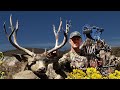 BOW HUNTING open country BUCKS! -  DIY Deer Hunting  (Eastmans' Hunting TV)
