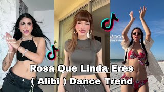 Rosa Que Linda Eres ( Alibi ) TikTok Dance Compilation