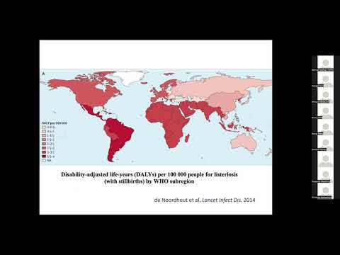 SAFFI DITECT 2nd joint webinar - video from DiTECT