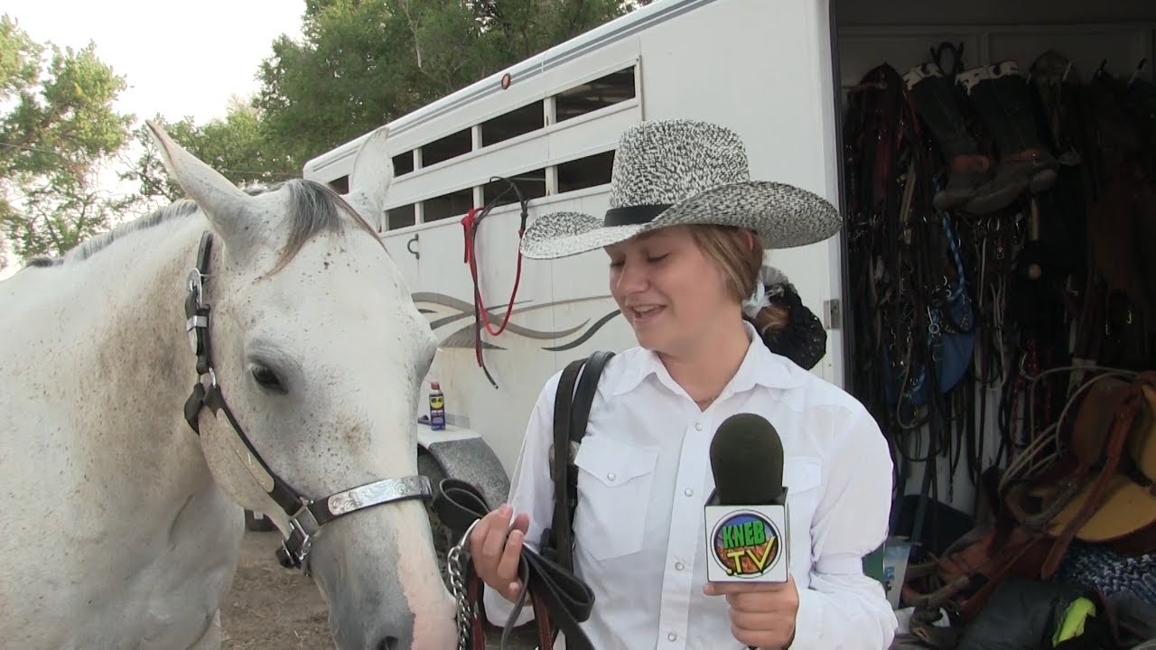 Morrill County Fair Horse Show YouTube