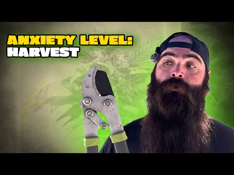 When Growers Typically Harvest | Educational Timing Guide | The Grateful Gardener