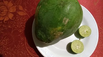 4 cách cơ bản chữa trị khi bị rết ( tít ) cắn bằng Phương pháp dân gian!