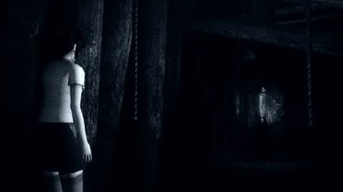 Project Zero III: The Tormented - The Last Passage (Hour 11)