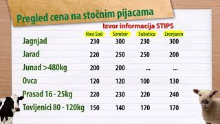 Prasad Jeftinija U Šapcu, Kikindi I Zaječaru Cene Stoke