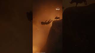 Mufasa Le Roi Lion Timon & Pumbaa Disney Be