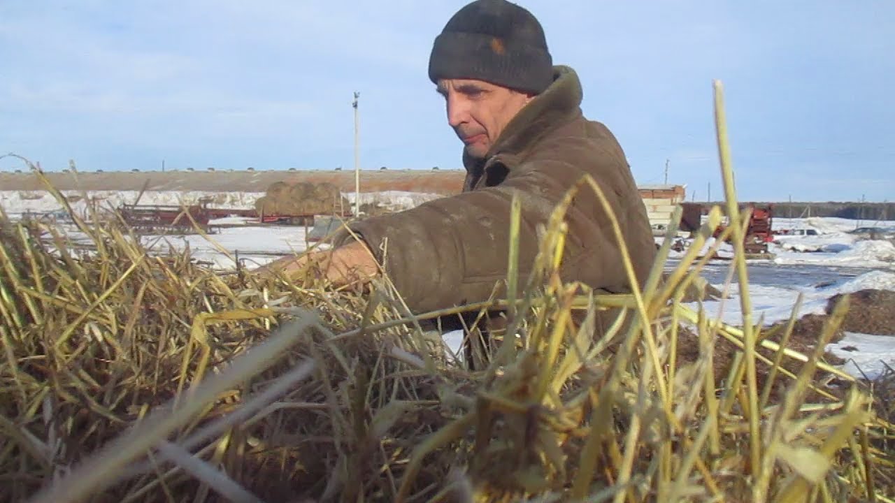 Деревенский блокнот ютуб новое видео. Лук деревенского пацана. Канал семья в деревне. Канал жизнь в деревне.